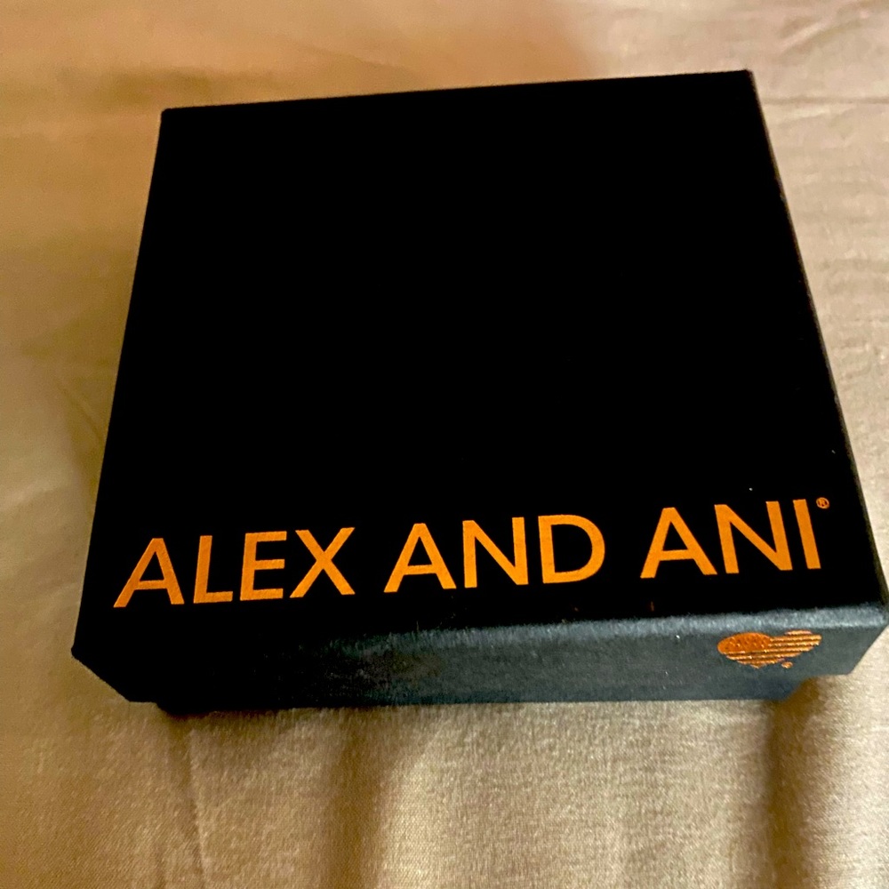 Alex and Ani gift box ONLY